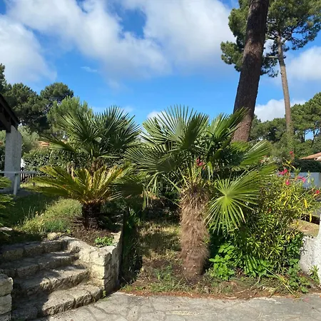 Magnifique Avec Piscine A La Palmyre Villa Les Mathes